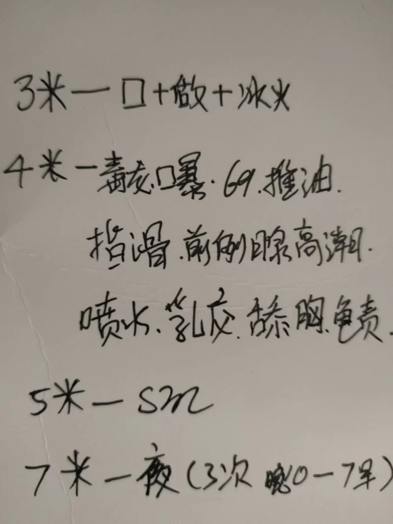 性价比SM熟女