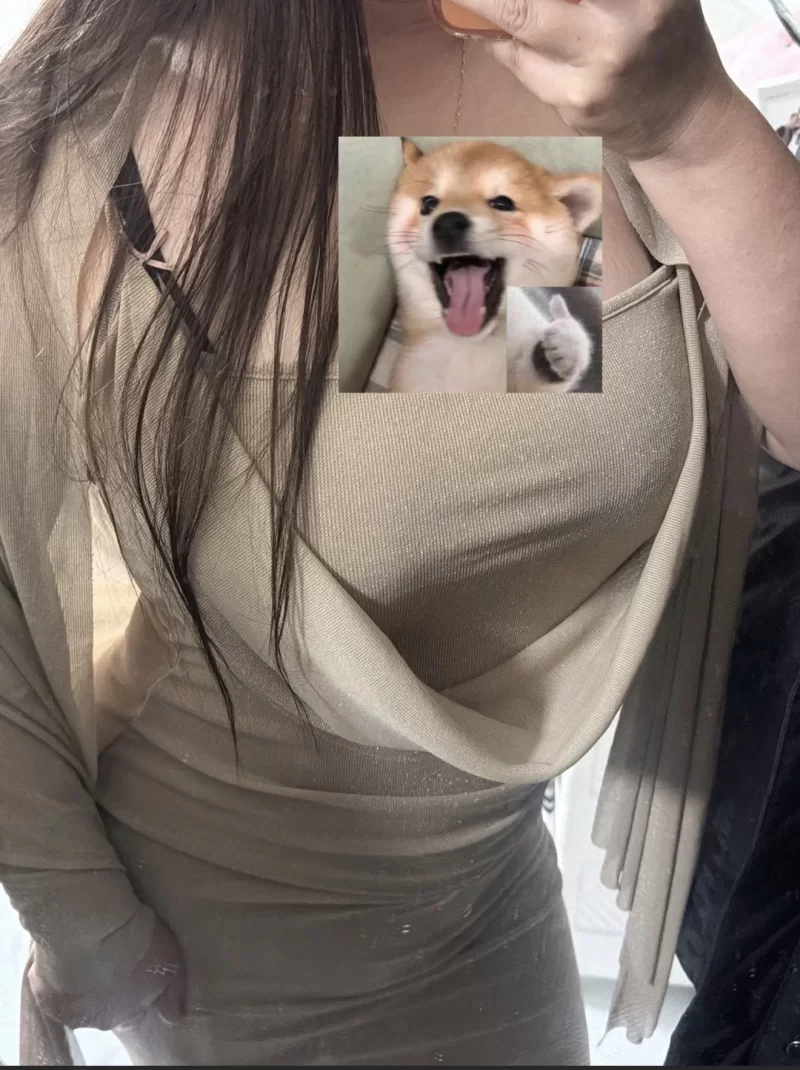 龙华大胸bbw